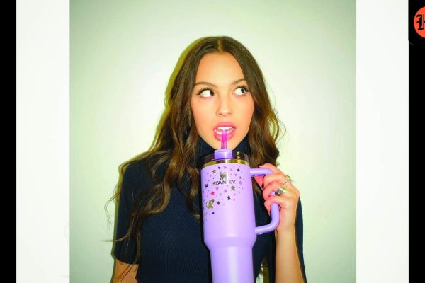 Everyone-wanted-a-Stanley-tumbler-with-straw-charm_1786027161906