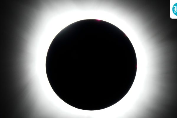 Solar-Eclipse-0_1786543559990_1786543582797_030b0cf4-36e0-47bb-80dc-612a1c8366eb_1786550659396_1370a15a-e132-48c6-8bfb-3da20a6a76f5