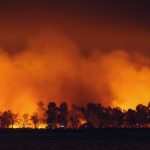 santa_paula_fire_1792099130531_72BS_1792099130650_fLOo_f52e1149-7849-4582-8d99-cc45c334084f_PTlZ