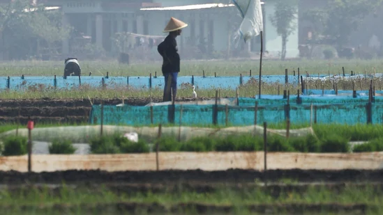 ASIA-WEATHER-INDONESIA-FARMER-47_1781220937258_1781220951694_a27b49aa-05ba-4ba6-a724-87b12e852a6e