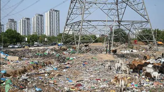 No-boundary-wall-at-the-MCG-secondary-garbage-coll_1781115019601