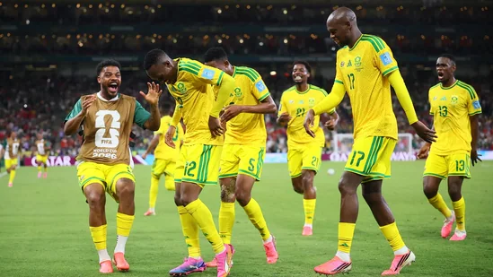 South_Africa_World_Cup_1782364347938_1782364348131_f44b0ae8-edbe-437d-a743-eaf85af2fce4