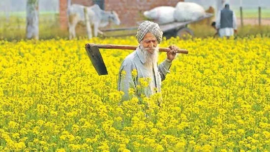 What-Punjab-needs-is-a-new-and-targeted-breakthrou_1778246440603_1781764735245_2ce0380e-9e35-43f5-9363-afd32d67b5c5