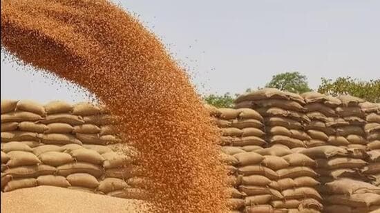 Wheat-procurement-is-unlikely-to-cross-20-lakh-met_1781115379648