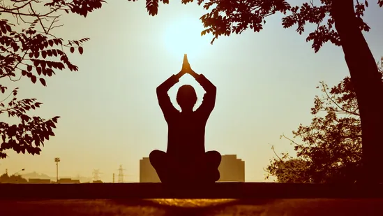 Yoga_Day_2026_1781820812650_1781820812787_9b808cca-faca-4415-bb1e-d66c1120ffcc