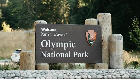 olympic_national_park_1781200307495_1781200307631_6b227a21-4787-4a53-bd86-651ff3864c5c