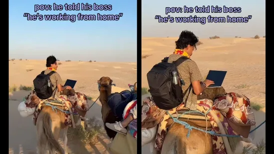work_from_camel_1781525986913_1781525998779_30478ca6-7445-482b-984b-f0b5b03270d9