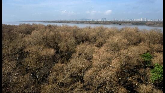 India-s-ecological-needs-against-the-backdrop-of_1783871134286