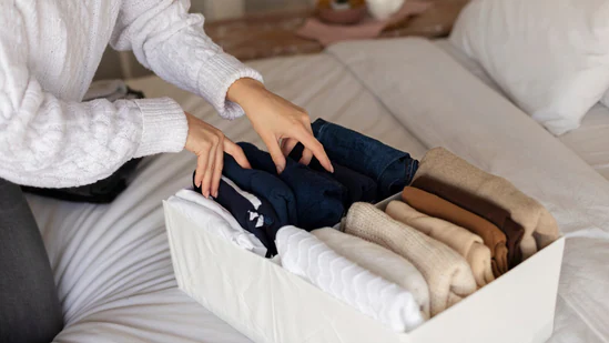 clothes_1782461861673_1782461865952_1beb3a90-7eb5-4a15-8b12-9dc22070e00e