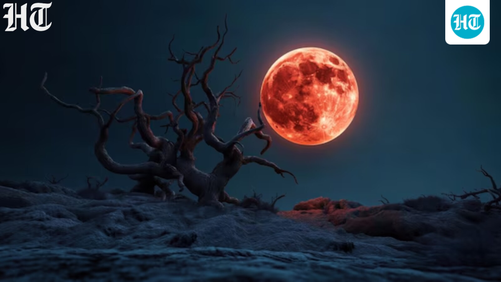 blood_moon_eclipse_1772446055634_1772446062125_1786737105311_4c9c13ef-d0df-48e4-94e7-959471c1bcf4