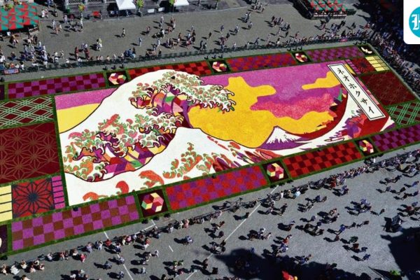 carpet_1786795171554_1786795182056_18b00a83-73fe-4896-a33d-0cec795a56c2