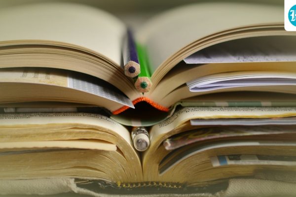 educationnews_1753077863677_1753077891951-3
