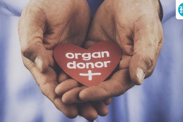 world_organ_donation_day_2022_1660365656882_1786435379071_4a9ae2b3-0531-4c80-a817-e14c8b3ffc67