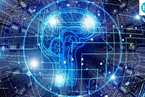 Artificial_Intelligence_1740648561843_1789277293953_1fc4b353-fc1f-4d7a-8137-3df56cc20239_57d61514-9994-4fae-967c-176231762b78_528d42d8-705c-411f-851d-23898ab0dfc3